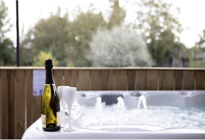 La Peniche De Fabrice Avec Jacuzzi Privatif Apartment Strasbourg Bagian luar foto