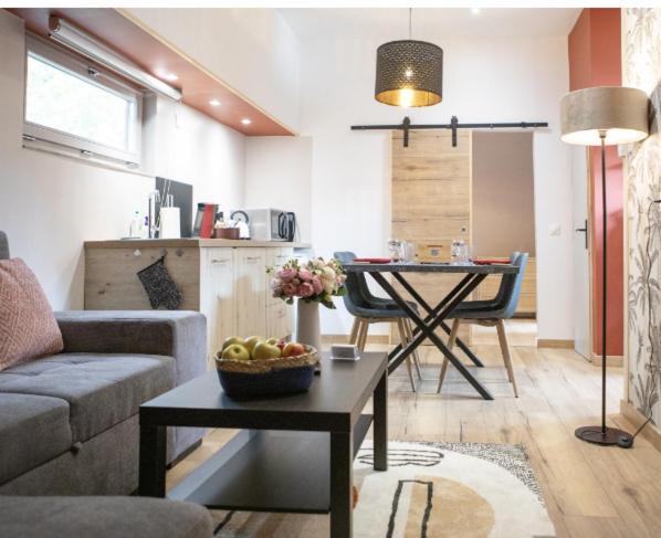 La Peniche De Fabrice Avec Jacuzzi Privatif Apartment Strasbourg Ruang foto